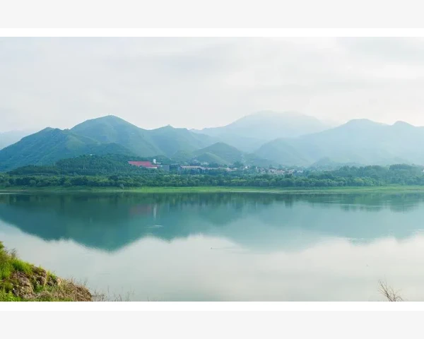 祛湿气的秘密武器：湿气贴使用指南