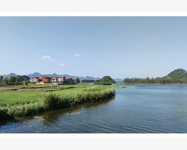 巧调理脾胃，轻松增重有方法